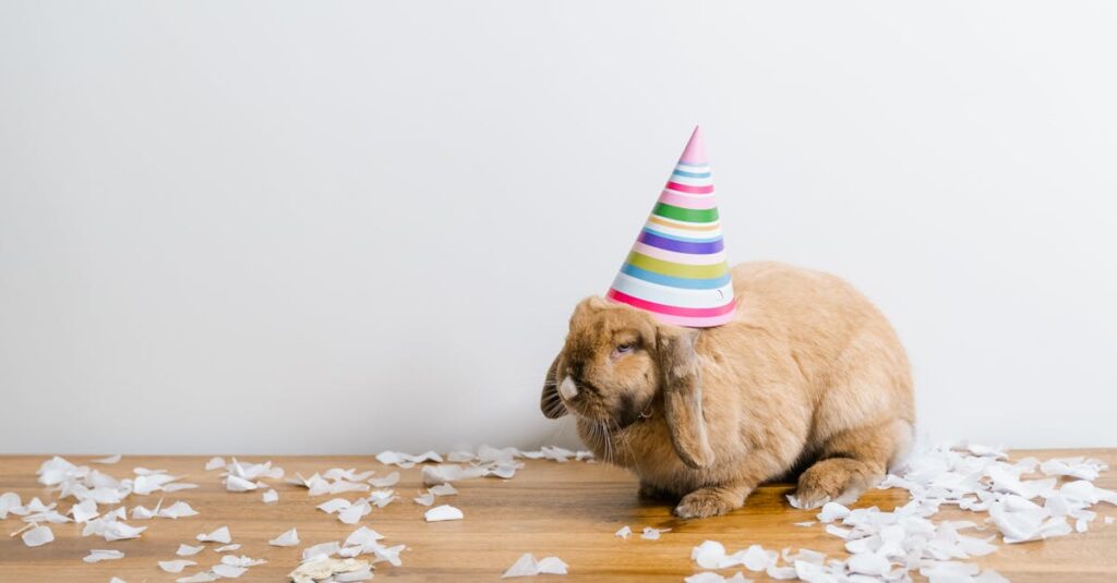 Une thématique de fête pour votre animal : idées créatives