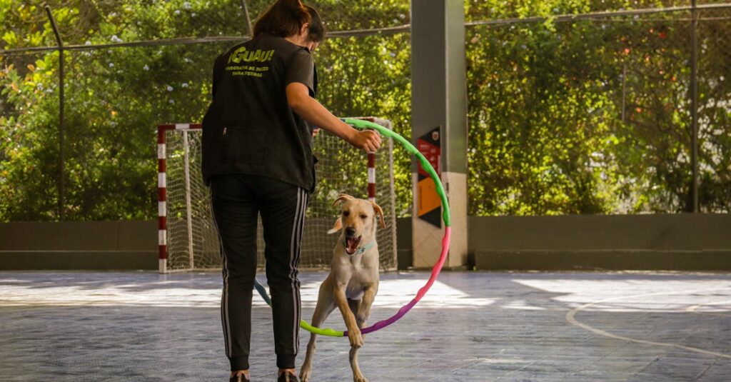 Les meilleures activités d'intérieur pour un chien heureux