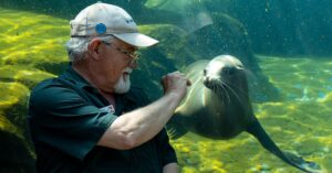 Les accès prolongés aux aquariums : à savoir pour vos poissons