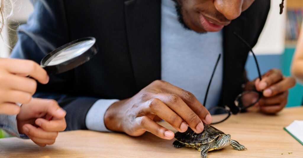 Les comportements surprenants des reptiles : comprendre leur comportement